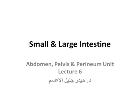 Small & Large Intestine