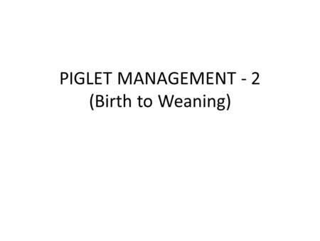 PIGLET MANAGEMENT - 2 (Birth to Weaning). Avoid moving individual piglets around. Identify and move fall-outs by 5-7 d of age. Otherwise leave them put.