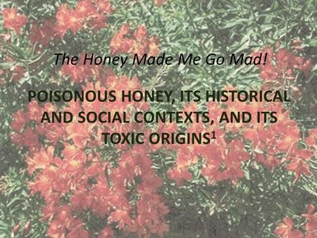 The Honey Made Me Go Mad! POISONOUS HONEY, ITS HISTORICAL AND SOCIAL CONTEXTS, AND ITS TOXIC ORIGINS 1.