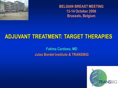 ADJUVANT TREATMENT: TARGET THERAPIES BELGIAN BREAST MEETING 13-14 October 2006 Brussels, Belgium Fatima Cardoso, MD Jules Bordet Institute & TRANSBIG.