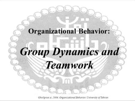 Organizational Behavior: Group Dynamics and Teamwork