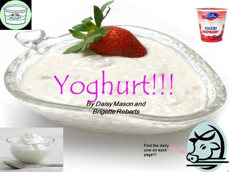 Yoghurt!!! Find the dairy cow on each page!!! By Daisy Mason and Brigette Roberts.