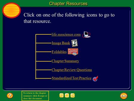 To return to the chapter summary click Escape or close this document. Chapter Resources Click on one of the following icons to go to that resource. life.msscience.com.
