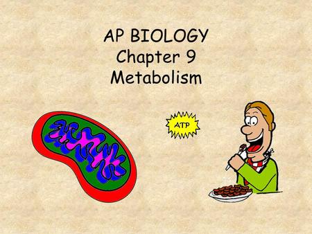 AP BIOLOGY Chapter 9 Metabolism