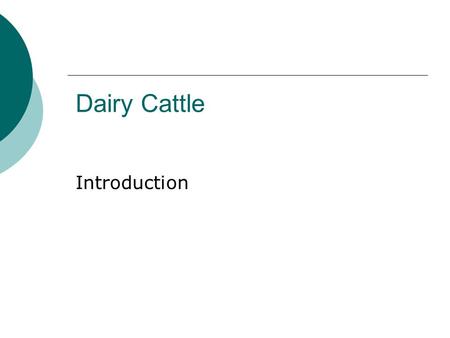 Dairy Cattle Introduction. Unit Map Set Up  Unit name: Dairy Cattle Industry  Unit Essential Question: How does the dairy industry operate?