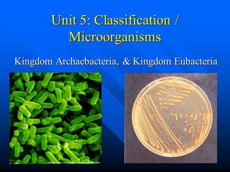 Unit 5: Classification / Microorganisms Kingdom Archaebacteria, & Kingdom Eubacteria.