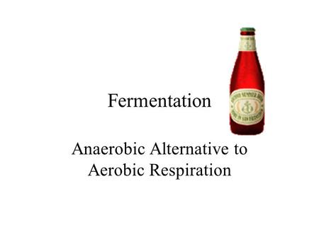 Fermentation Anaerobic Alternative to Aerobic Respiration.