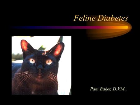 Feline Diabetes Pam Baker, D.V.M. Special Thanks to Nancy Johnson.