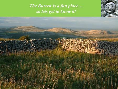The Burren is a fun place… so lets get to know it!