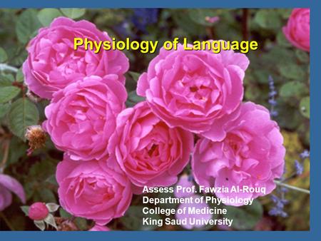 Physiology of Language