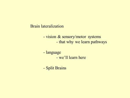Brain lateralization - vision & sensory/motor systems - that why we learn pathways - language - we’ll learn here - Split Brains.