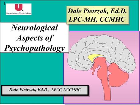 1 Neurological Aspects of Psychopathology Dale Pietrzak, Ed.D., LPCC, NCCMHC Dale Pietrzak, Ed.D. LPC-MH, CCMHC Dale Pietrzak, Ed.D. LPC-MH, CCMHC 1.