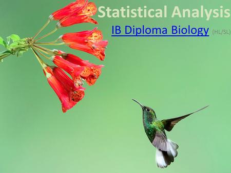 Statistical Analysis IB Diploma BiologyIB Diploma Biology (HL/SL)