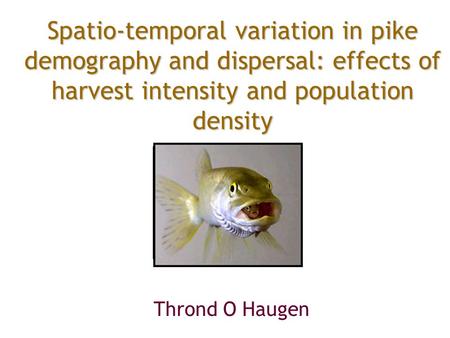 Spatio-temporal variation in pike demography and dispersal: effects of harvest intensity and population density Thrond O Haugen.