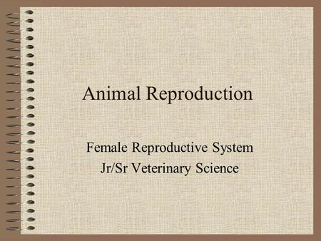 Female Reproductive System Jr/Sr Veterinary Science