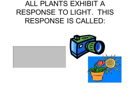ALL PLANTS EXHIBIT A RESPONSE TO LIGHT. THIS RESPONSE IS CALLED: