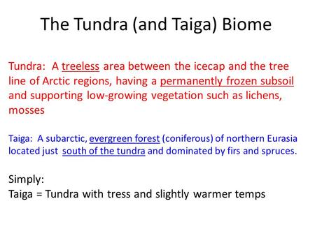 The Tundra (and Taiga) Biome Tundra: A treeless area between the icecap and the tree line of Arctic regions, having a permanently frozen subsoil and supporting.