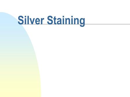 Silver Staining. Why silver stain? n Silver stain has high sensitivity compared to other stains. u Silver stain reveals F subnanogram quantities of ss.