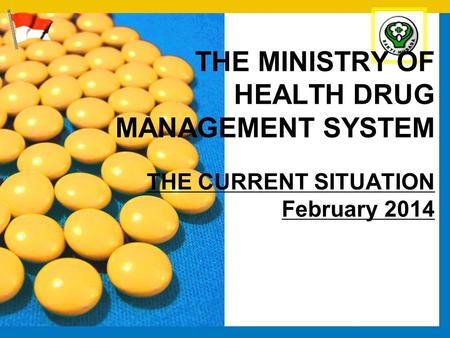 THE MINISTRY OF HEALTH DRUG MANAGEMENT SYSTEM THE CURRENT SITUATION February 2014.