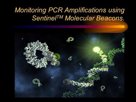 Monitoring PCR Amplifications using Sentinel TM Molecular Beacons.