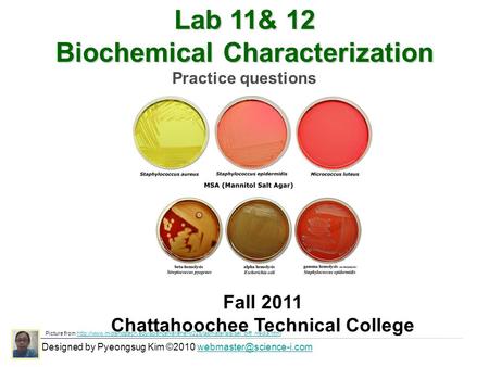 Lab 11& 12 Biochemical Characterization Practice questions Designed by Pyeongsug Kim ©2010 Fall 2011 Chattahoochee.