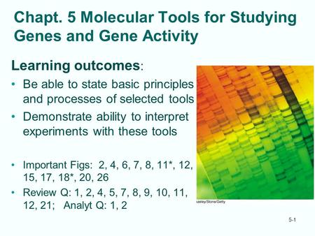 Chapt. 5 Molecular Tools for Studying Genes and Gene Activity Learning outcomes : Be able to state basic principles and processes of selected tools Demonstrate.