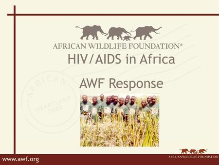 Www.awf.org HIV/AIDS in Africa AWF Response. www.awf.org AWF’s Response Leadership Workplace Policy Employee benefits Awareness and education Links with.