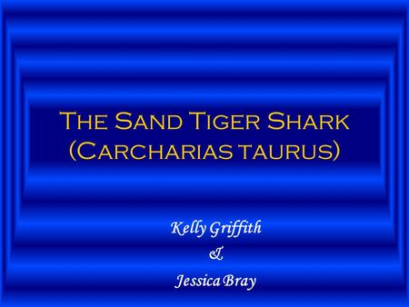 The Sand Tiger Shark (Carcharias taurus) Kelly Griffith & Jessica Bray.