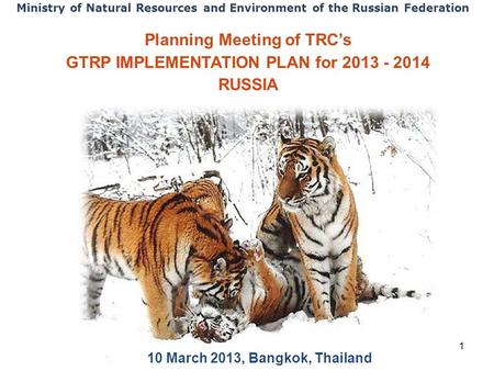 1 Planning Meeting of TRC’s GTRP IMPLEMENTATION PLAN for 2013 - 2014 RUSSIA 10 March 2013, Bangkok, Thailand Ministry of Natural Resources and Environment.