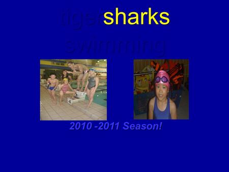 Tigersharks swimming 2010 -2011 Season!. tigersharks swimming The Team! Having a team culture is by far the most important aspect of a successful program.