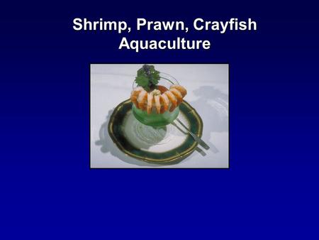 Shrimp, Prawn, Crayfish Aquaculture. Thailand – 200,000 MT China – 110,000 MT Indonesia – 100,000 MT Ecuador – 85,000 MT India – 70,000 MT World harvest.