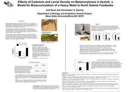 Kati Reed and Christopher K. Beachy Department of Biology and Amphibian Growth Project, Minot State University,Minot,ND 58707 Effects of Cadmium and Larval.