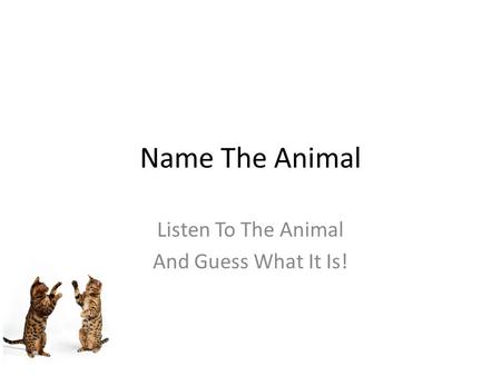 Free PowerPoint Quizzes Name The Animal Listen To The Animal And Guess What It Is!