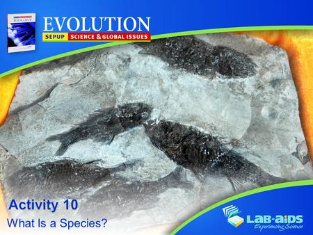 What Is a Species?. Activity 10: What Is a Species? LIMITED LICENSE TO MODIFY. These PowerPoint® slides may be modified only by teachers currently teaching.