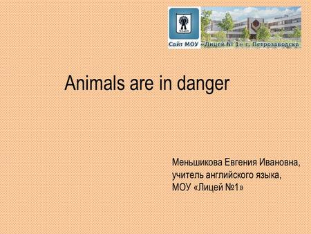 Animals are in danger Меньшикова Евгения Ивановна, учитель английского языка, МОУ «Лицей №1»