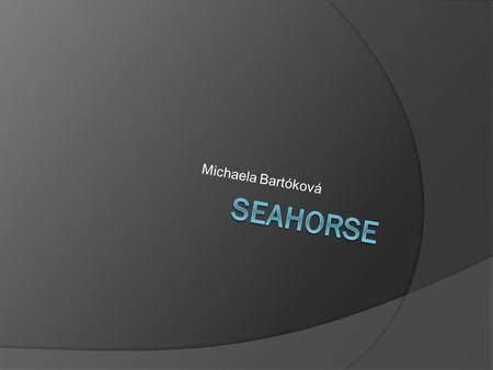 Michaela Bartóková Seahorse.