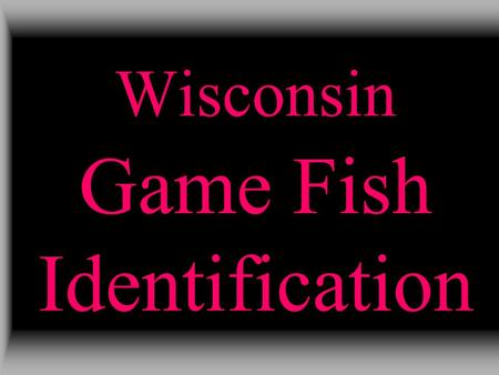 Wisconsin Game Fish Identification. Dorsal Fin Caudal Fin Anal Fin Pelvic Fin Pectoral Fin Operculum.