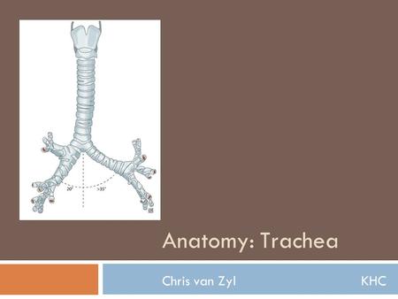 Anatomy: Trachea Chris van Zyl				KHC.