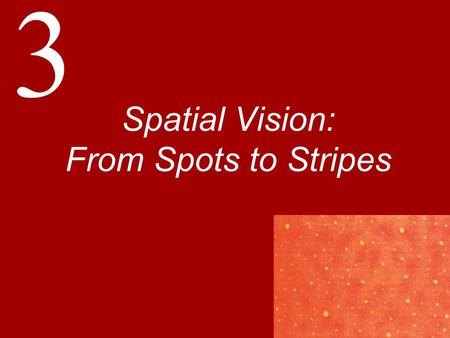 3 Spatial Vision: From Spots to Stripes. Visual Acuity: Oh Say, Can You See? The King said, “I haven’t sent the two Messengers, either. They’re both gone.