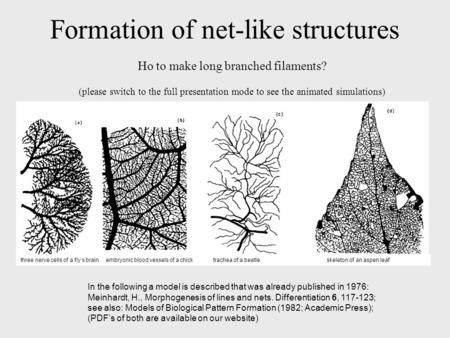 Formation of net-like structures Ho to make long branched filaments? (please switch to the full presentation mode to see the animated simulations) In the.