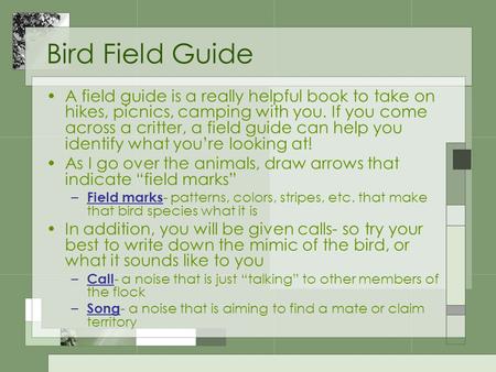 Bird Field Guide A field guide is a really helpful book to take on hikes, picnics, camping with you. If you come across a critter, a field guide can help.