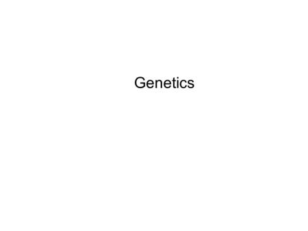 Genetics. Gregor Mendel Genetic Concepts Phenotype –Physical characteristics of organism –Result of gene expression –Biochemical properties of proteins.