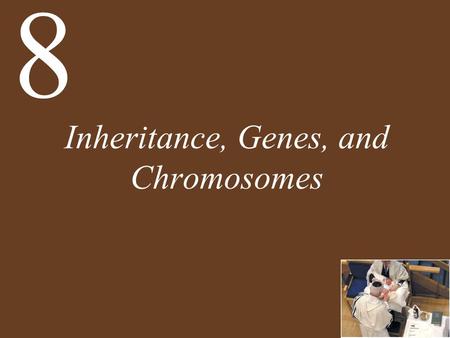 Inheritance, Genes, and Chromosomes 8. Chapter 8 Inheritance, Genes, and Chromosomes Key Concepts 8.1 Genes Are Particulate and Are Inherited According.