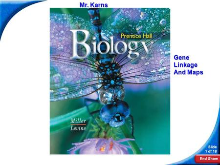 Mr. Karns Biology Gene Linkage And Maps.