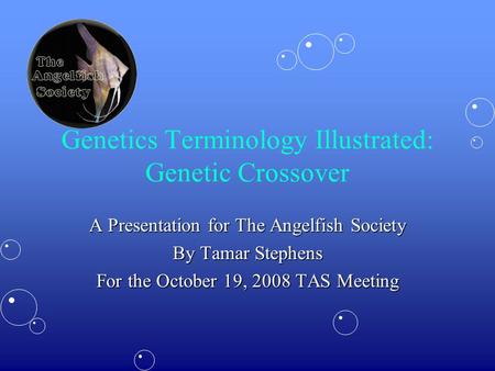 Genetics Terminology Illustrated: Genetic Crossover A Presentation for The Angelfish Society By Tamar Stephens For the October 19, 2008 TAS Meeting.