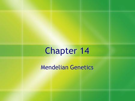 Chapter 14 Mendelian Genetics.