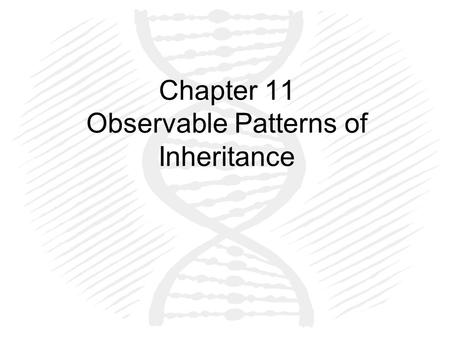 Chapter 11 Observable Patterns of Inheritance. Scientist Father of inheritance: Gregor Mendel.