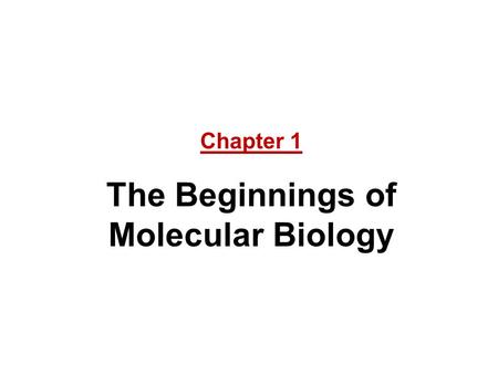 The Beginnings of Molecular Biology