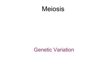 Meiosis Genetic Variation.