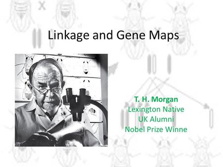 T. H. Morgan Lexington Native UK Alumni Nobel Prize Winne